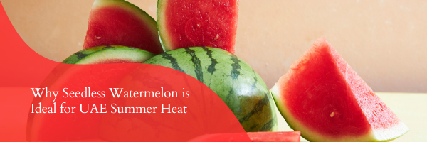 Why Seedless Watermelon is the UAEs Ultimate Hydration Fruit in Summer Heat