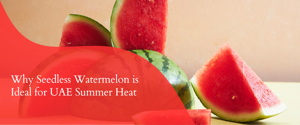 Why Seedless Watermelon Is the UAE’s Ultimate Hydration Fruit in Summer Heat