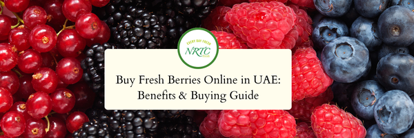 Small Fruits Big Benefits Discover Why Berries Are a Smart Choice for Your Everyday Diet