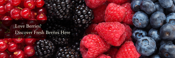 Small Fruits, Big Benefits: Discover Why Berries are a Smart Choice for your Everyday Diet