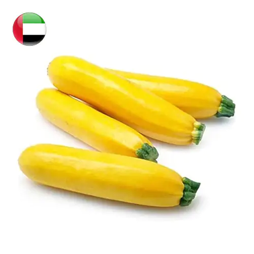 Zucchini Yellow 1Kg Holland