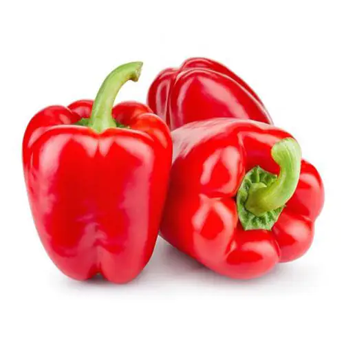 Capsicum Red 500g Spain