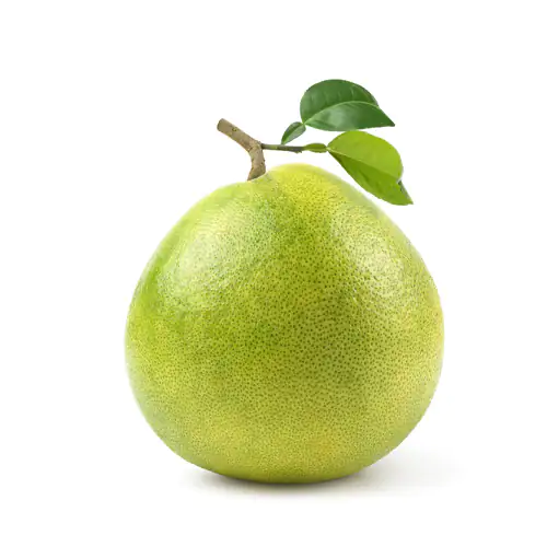 Pomelo White 450g to 600g China