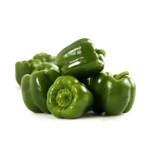 Capsicum Green 500g Jordan