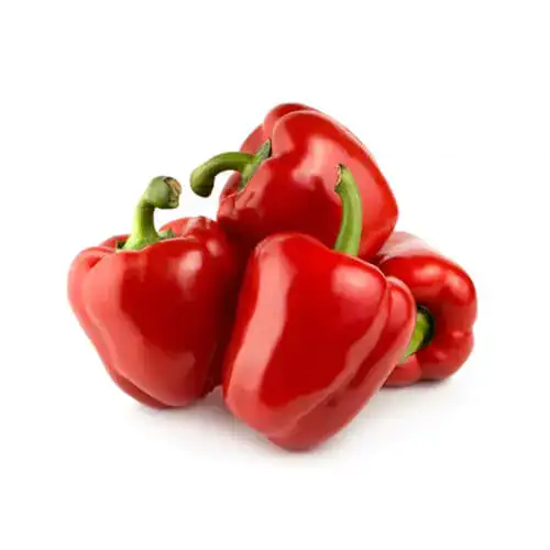 Capsicum Red 500g Jordan