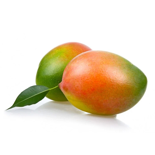 Mango Keitt 1kg South Africa