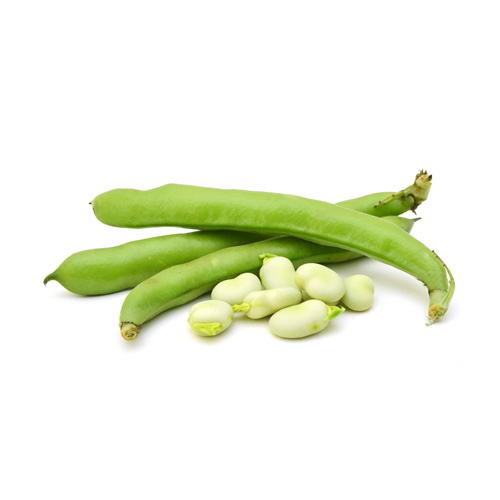 Broad Beans 1kg Lebanon