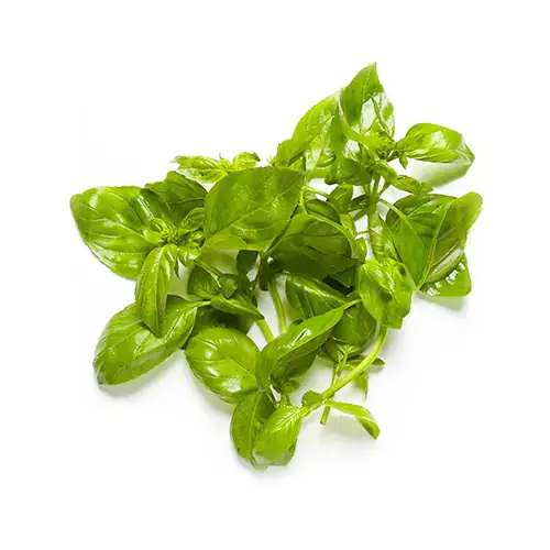 Basil 100g UAE